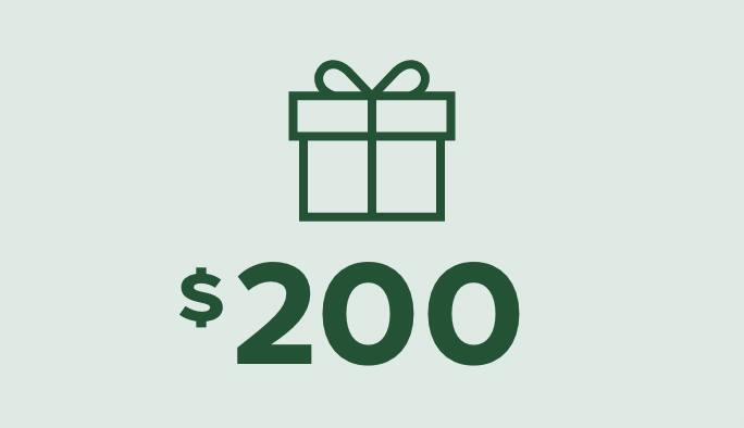 Gifts under $200