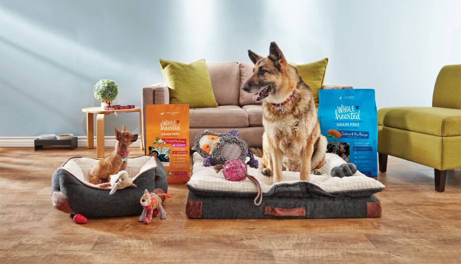Chiens assis à côté de sacs de nourriture pour chiens WholeHearted