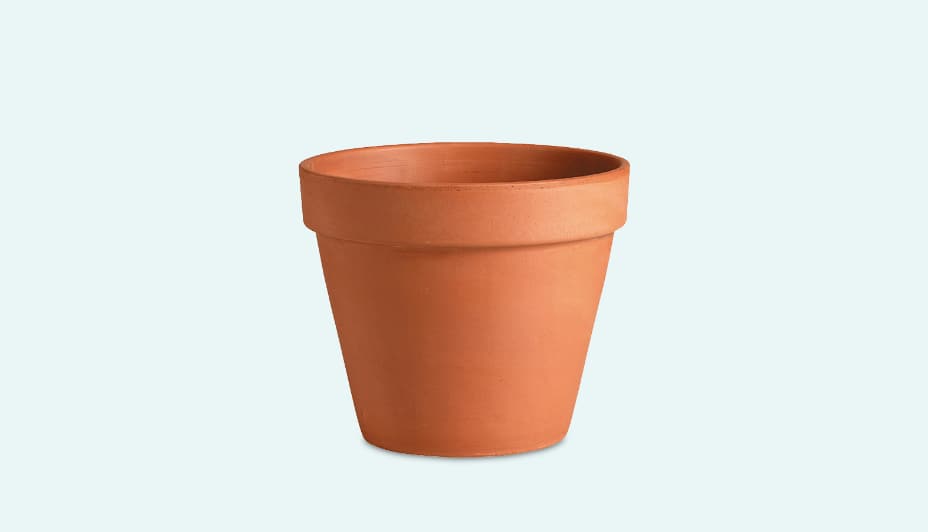 Pots and Planters 