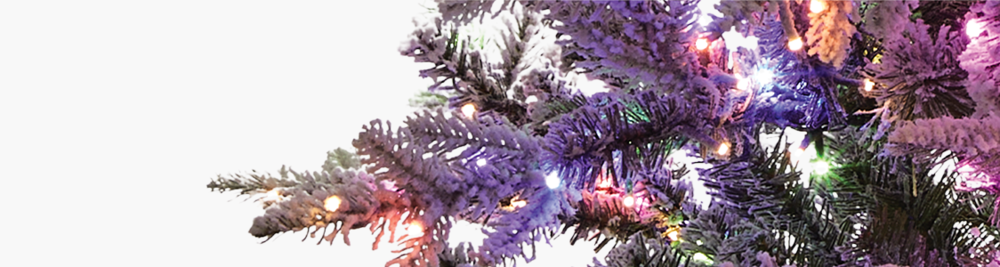 Branche d’arbre de Noël illuminée avec des lumières multicolores.
