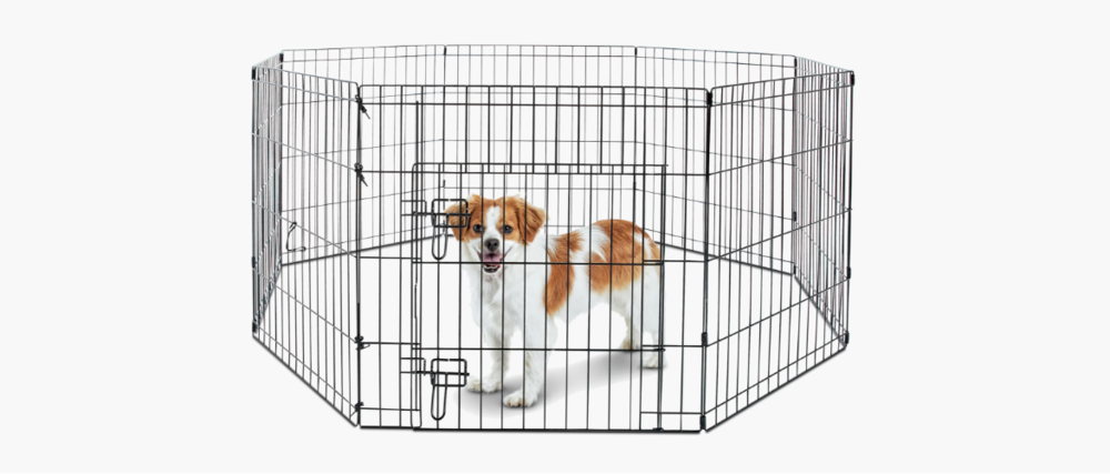 Small dog inside dog pen fence