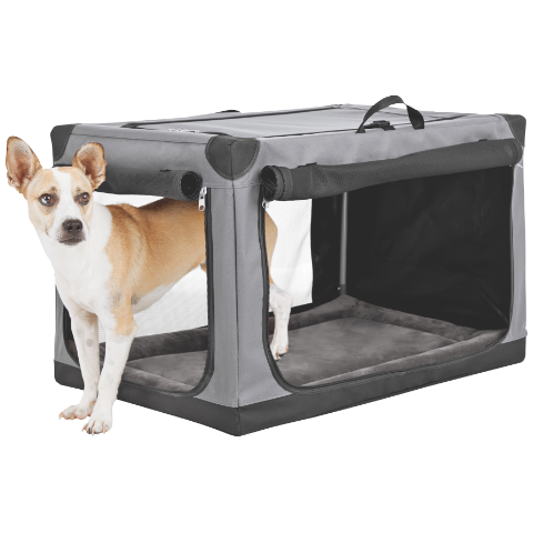 Dog standing inside Petco canvas dog crate