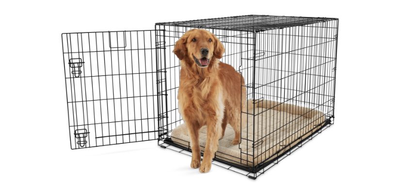 Dog standing in Petco wire dog crate