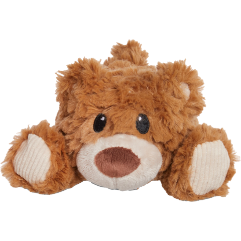 Petco squeak plush bear dog toy