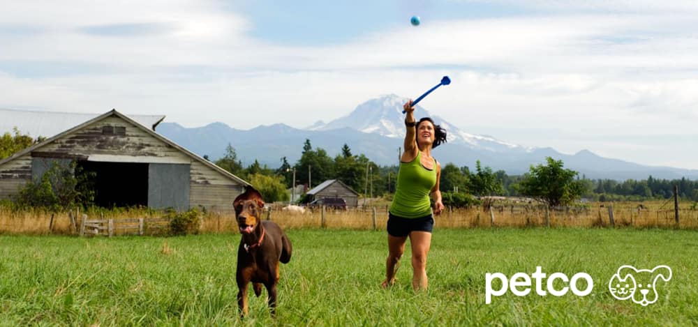 Woman using ball launcher with dog in field