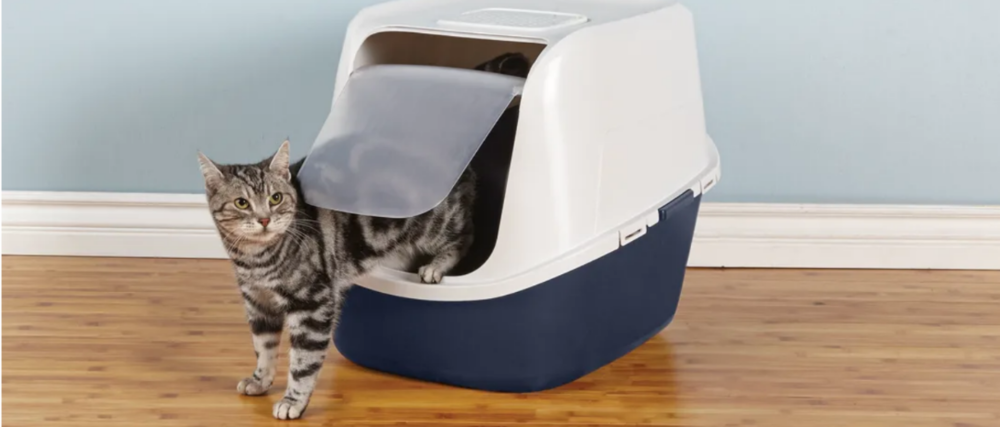 Grey striped cat stepping out of a covered litter box