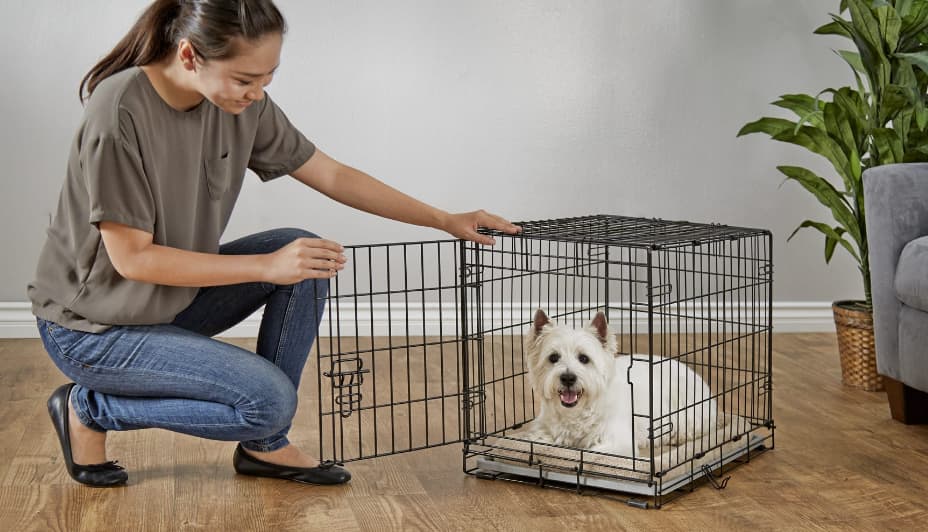 Woman opening dog crate with white dog laying inside