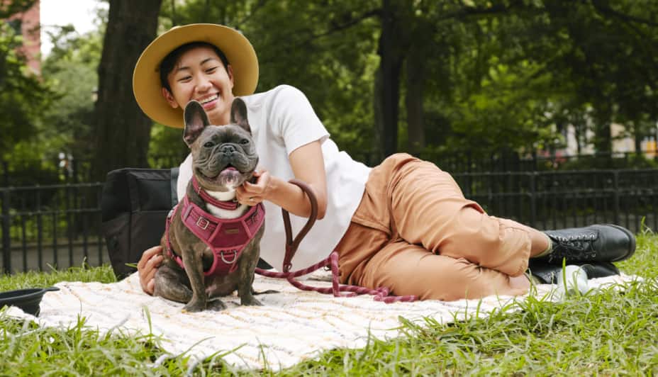 Woman sitting on blanket with dog wearing harness