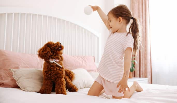 Child playing with puppy on bed