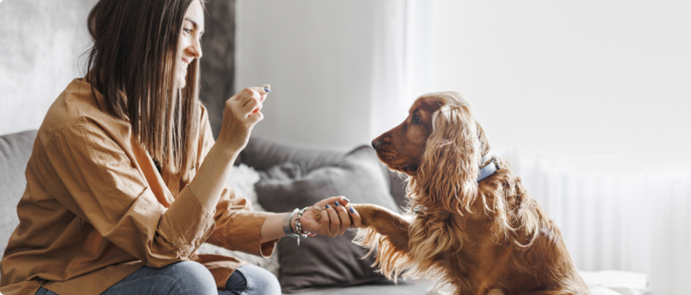 Woman holding treat in front of dog.