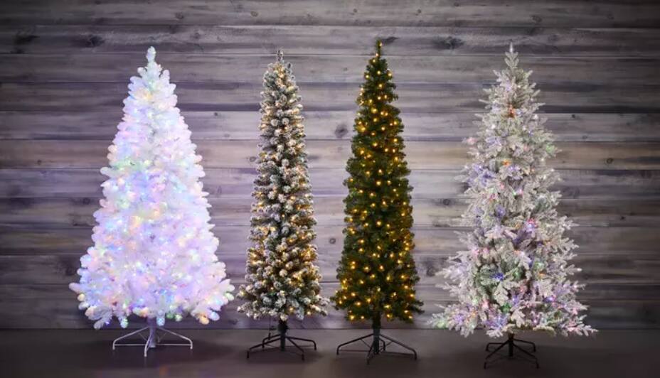 Arbres de Noël