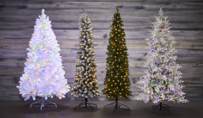 Four Christmas trees in a variety of colours and sizes.
