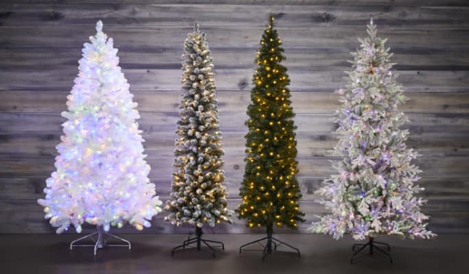 Four Christmas trees in a variety of colours and sizes.