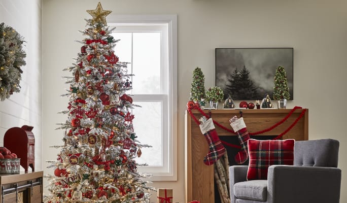 CANVAS Red Collection on a tree and living room