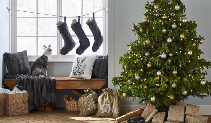 CANVAS Thoughtfully Sourced Collection on a tree and living room
