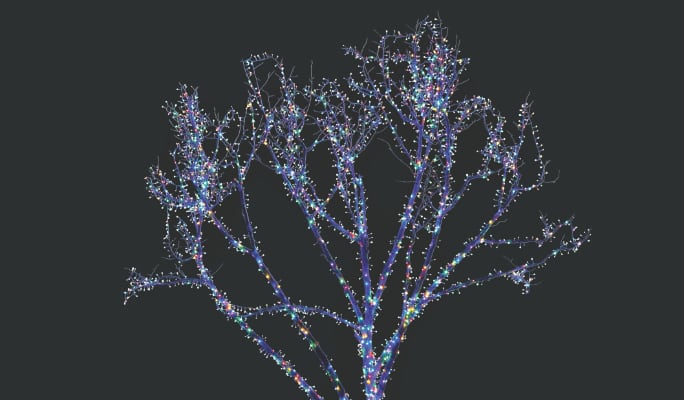 NOMA Advanced Cluster Lightshow 1000 LED lights displayed on a tree
