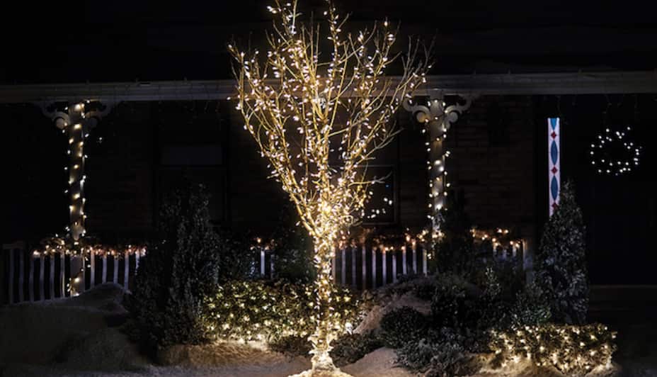 NOMA multi-coloured lights on a Christmas tree