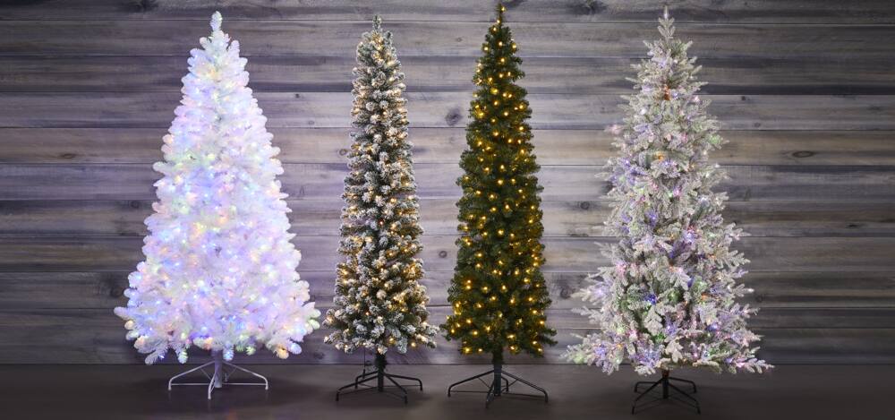 Four assorted Christmas trees in front of a wood wall.