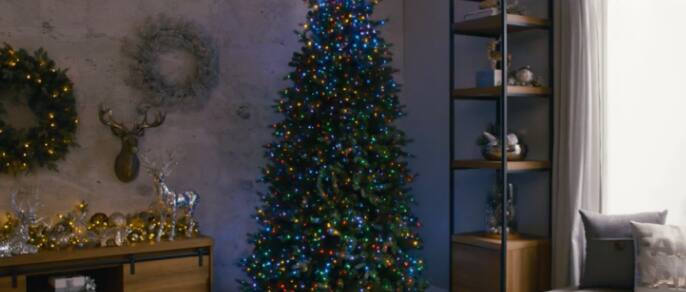 Christmas tree lit up with multicoloured mini lights.