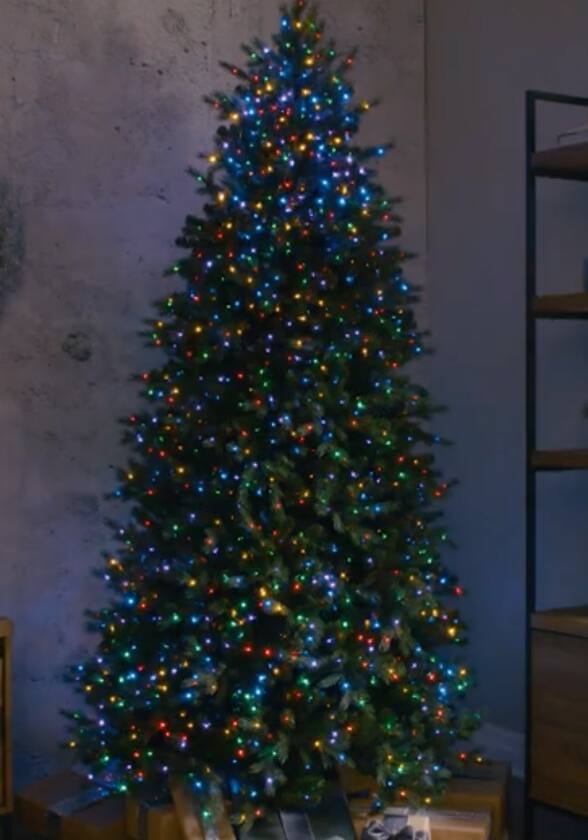 Christmas tree lit up with multicoloured mini lights.