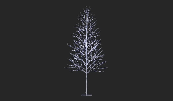 CANVAS Birch Tree, 8-ft