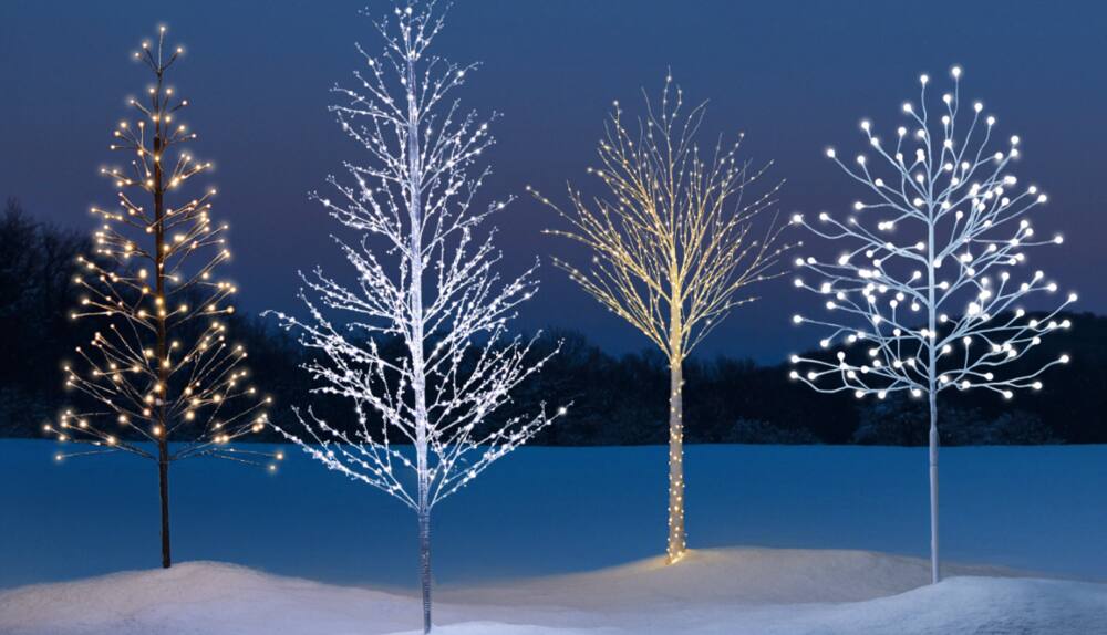 A range of CANVAS Outdoor Pre-Lit Trees on a snowy lawn including the Starry Night Tree, Colour-Changing Tree, and Winter Forest Tree.