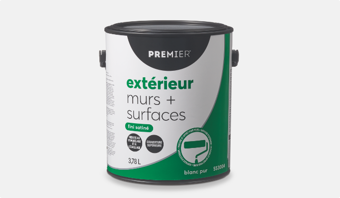 Pot de peinture murale extérieure de Premier Extra.