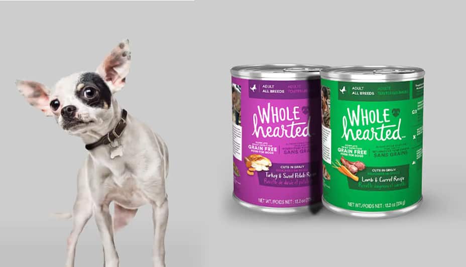Small black and white dog standing next to two cans of Wholehearted wet dog food.