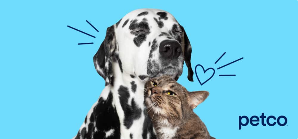 A line drawing of a heart sits next to a grey cat, that is nuzzled into the neck of a spotted dog.