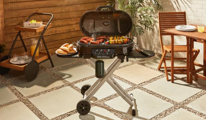 Coleman Roadtrip Portable Stand-Up Propane Grill