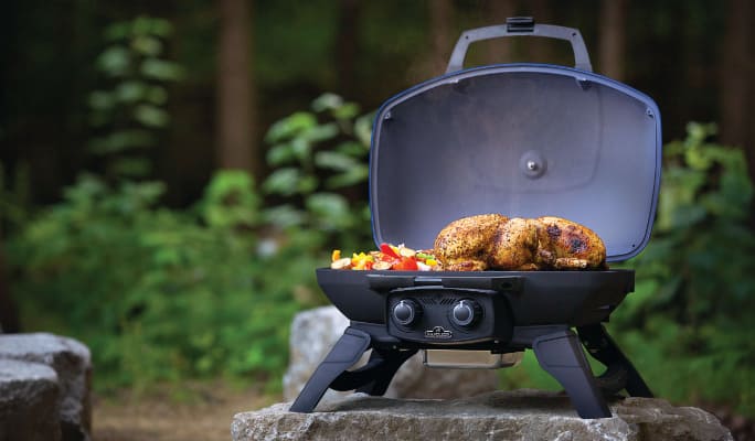 Napoleon TravelQ™ TQ285 Portable Gas Grill