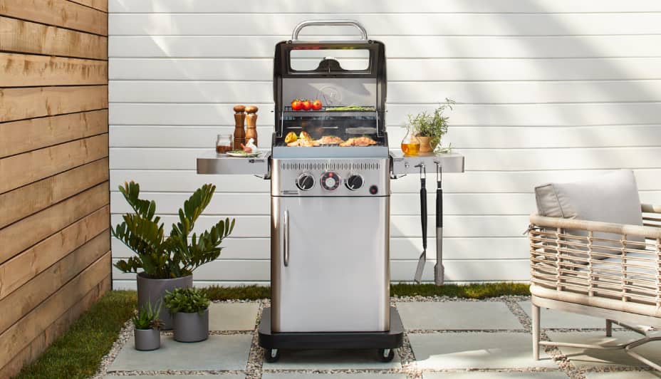 A silver Vida by PADERNO Essence Series 2-Burner Convertible Gas BBQ stands next to a potted plant on a backyard patio.