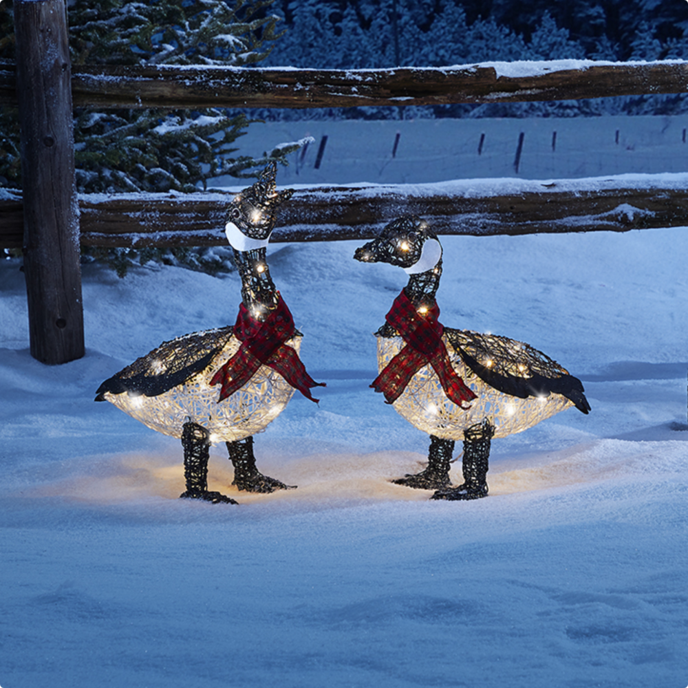 Deux oies décoratives CANVAS chalet canadien illuminées sur une pelouse enneigée.