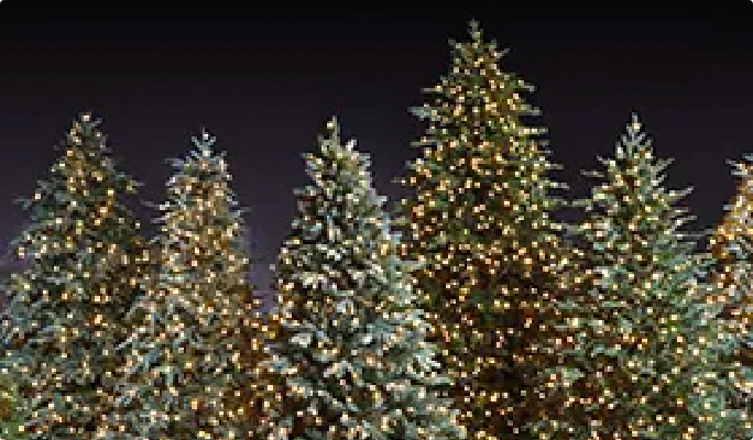 Arbres et accessoires de Noël