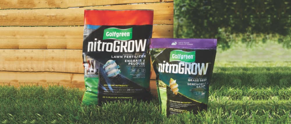 Two bags of Golfgreen nitroGrow lawn fertilizer and grass seed on a lush green lawn.