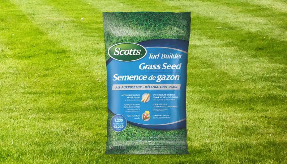 Bag of Scotts Grass Seed