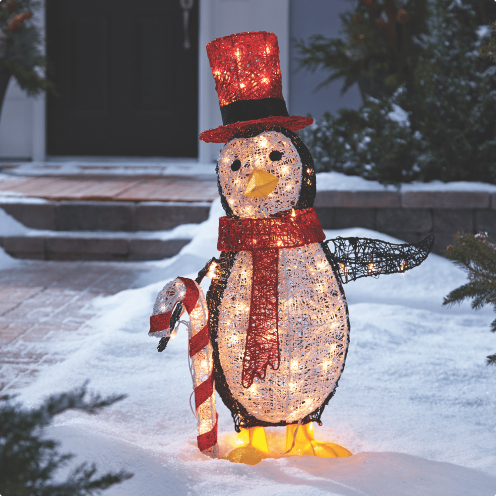 Outdoor Christmas Decorations Canada.html