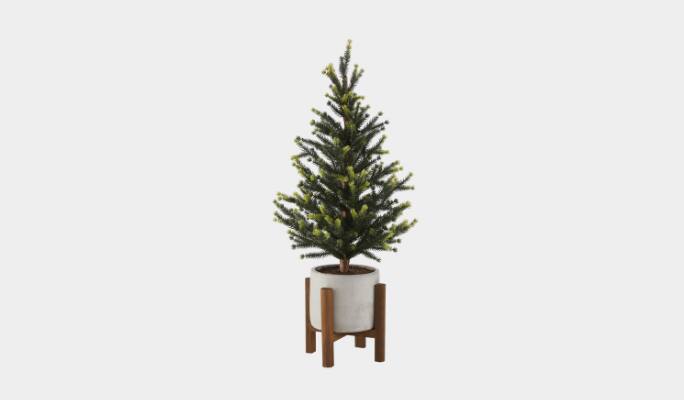 CANVAS White potted tree, 24-in 