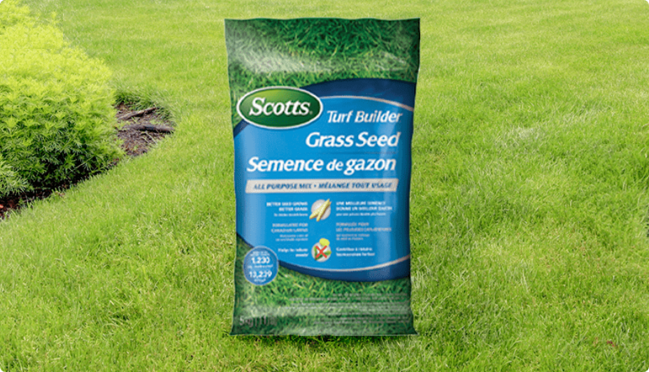 Scotts Grass Seeds in packaging on grass.   