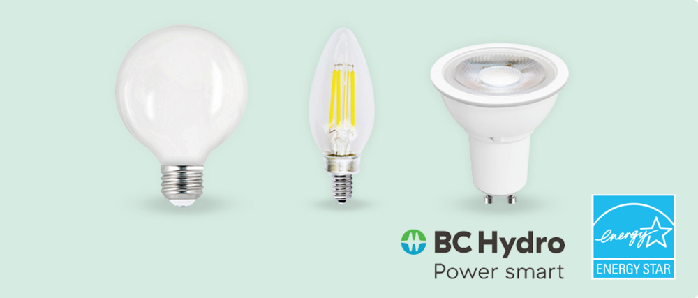 Three energy-efficient LED light bulbs in different styles.