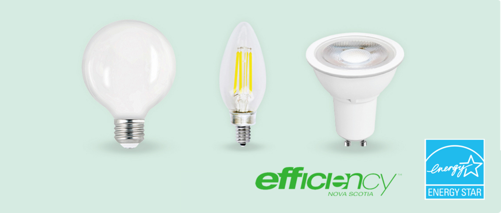 Three energy-efficient LED light bulbs in different styles.