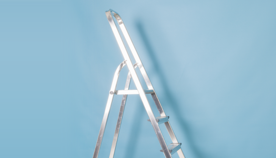 An aluminium step ladder.