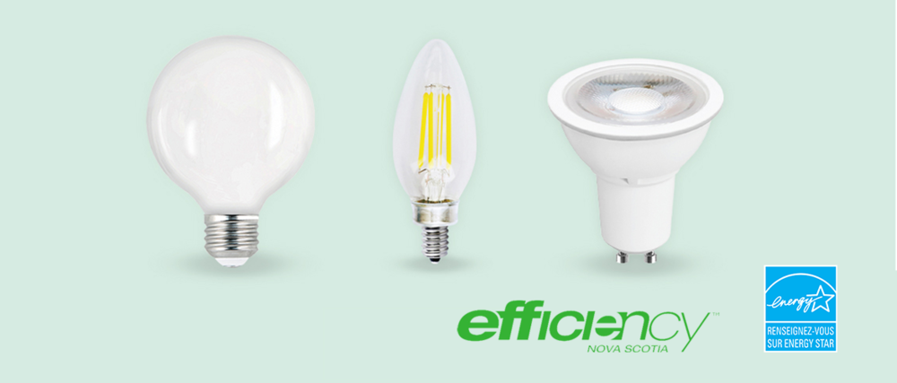 Trois modèles différents d'ampoules à DEL écoénergétiques.