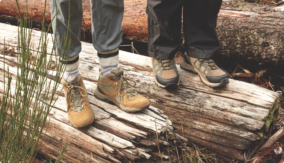 Two people standing in forest