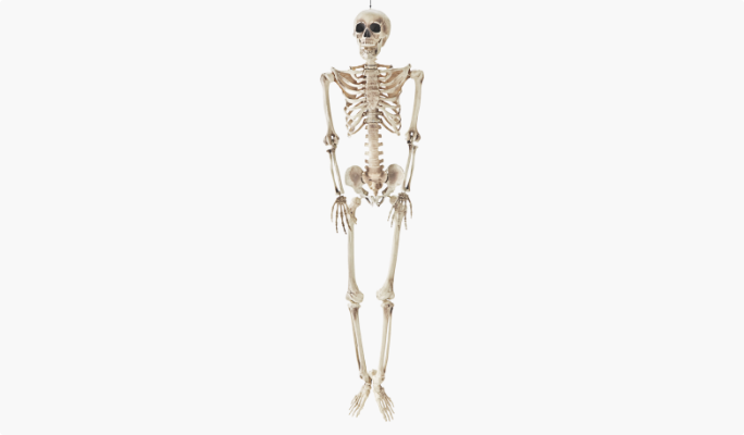 Squelette suspendu décoratif For Living