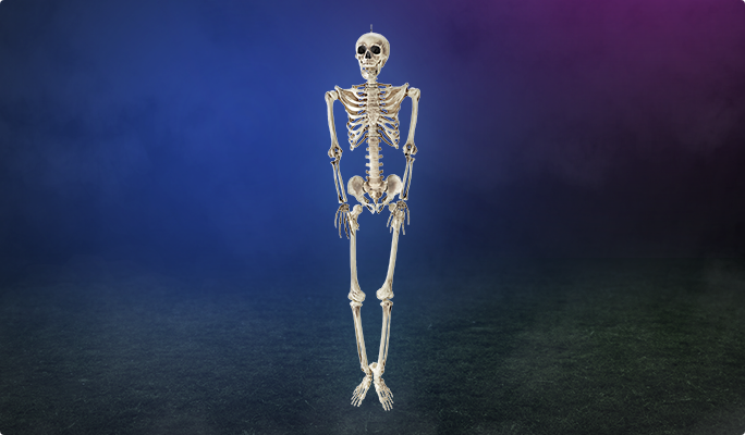 Squelette suspendu décoratif