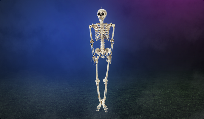 For Living Hanging Skeleton Decor