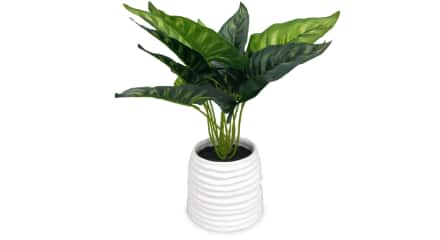 CANVAS Artificial Plant in Ceramic Pot