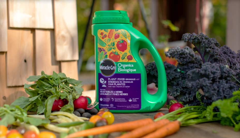 Jug of Miracle-Gro Organics Vegetable & Herb Plant Food with assorted harvested vegetables.