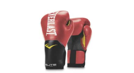 Gants de boxe Everlast Elite 2.0